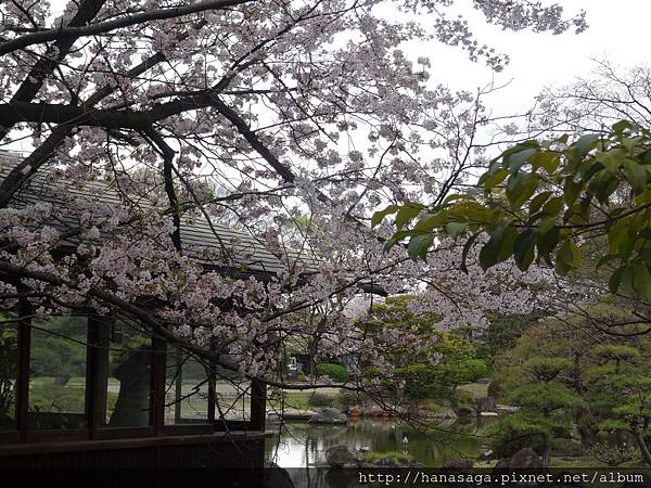 20160404_天王寺_09.JPG