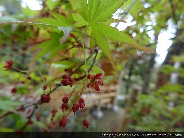 20160404_天王寺_22.JPG