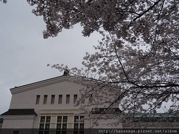 20160404_天王寺_28.JPG