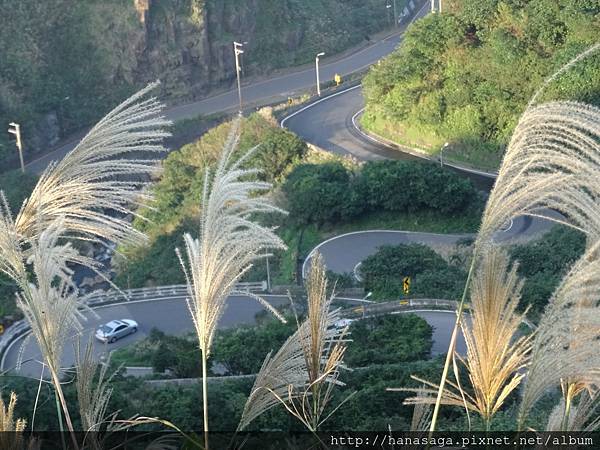 20151117_平溪線一日遊58.JPG