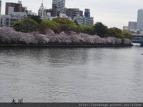 20160403_天滿橋_01.JPG