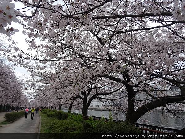 20160403_天滿橋_05.JPG