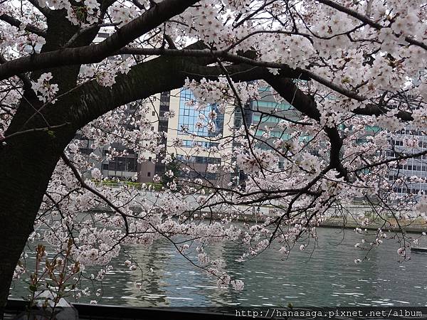 20160403_天滿橋_06.JPG