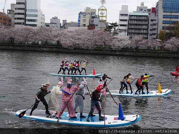 20160403_天滿橋_37.JPG