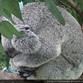 20170201_動物園走春_07.JPG