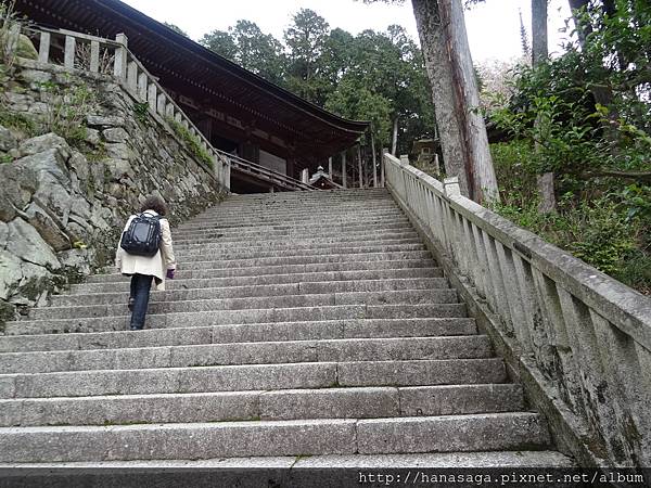 20160405_八幡宮意外之旅_23.JPG