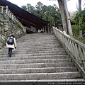 20160405_八幡宮意外之旅_23.JPG