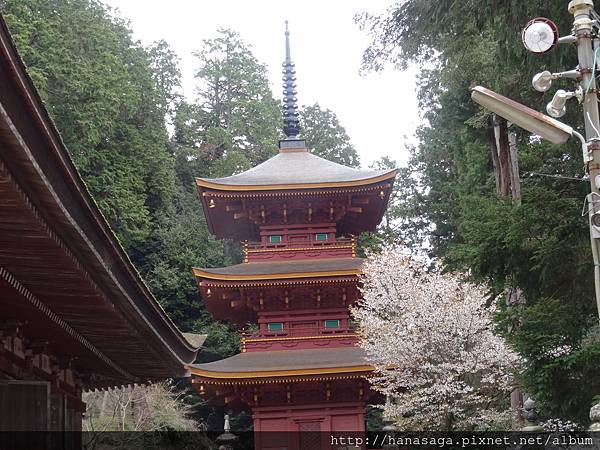 20160405_八幡宮意外之旅_27-2.JPG