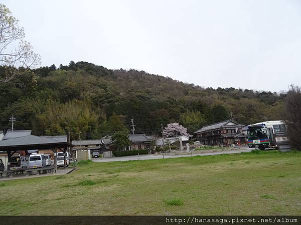 20160405_八幡宮意外之旅_35.JPG