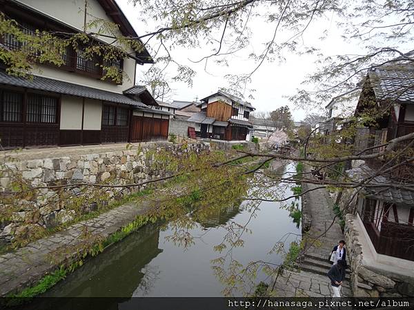 20160405_八幡宮意外之旅_39.JPG