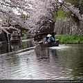 20160405_八幡宮意外之旅_52.JPG