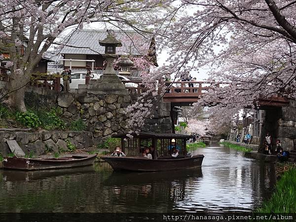 20160405_八幡宮意外之旅_53.JPG