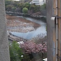 上野公園前旅館窗外.jpg