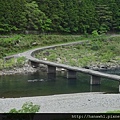 四萬十川-8.jpg