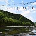 四萬十川-10.jpg
