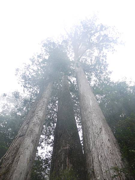 P1280793.JPG P1280793.JPG