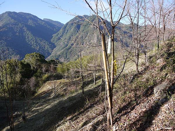 P1280540 - 複製.JPG P1280540 - 複製.JPG