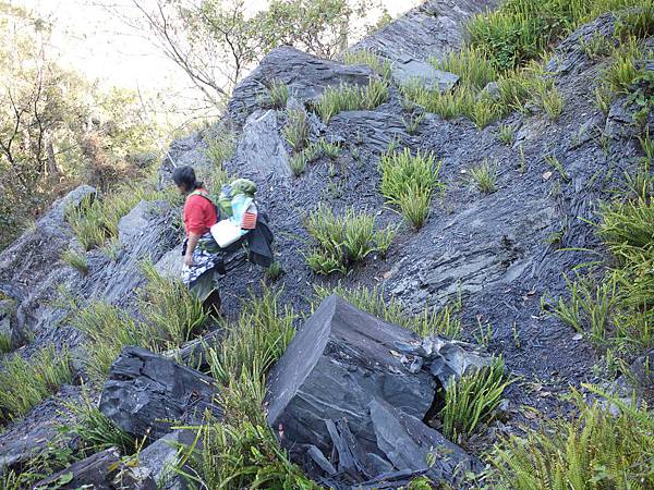 P1280552 - 複製.JPG P1280552 - 複製.JPG