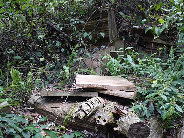 P1280557 - 複製.JPG P1280557 - 複製.JPG