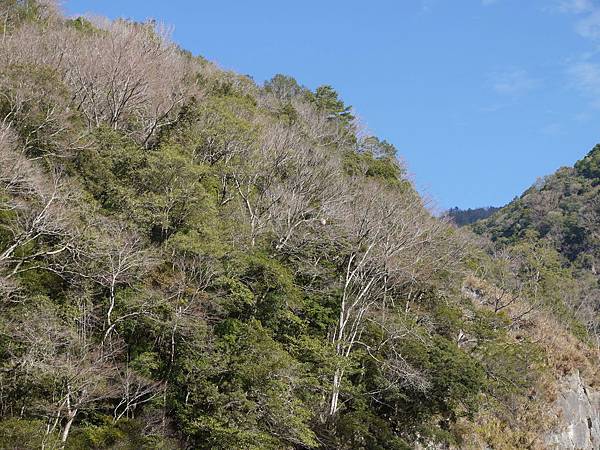 P1280564.JPG P1280564.JPG