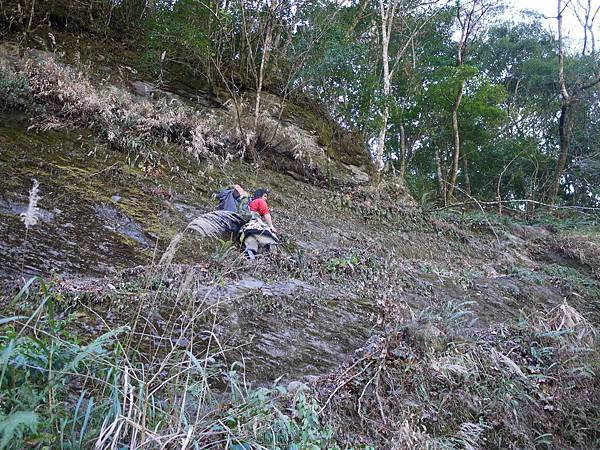 P1280570.JPG P1280570.JPG