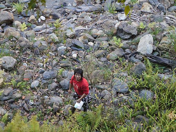 P1280574.JPG P1280574.JPG