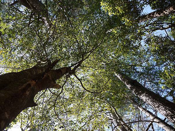 P1280621.JPG P1280621.JPG