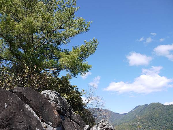 P1280646.JPG P1280646.JPG