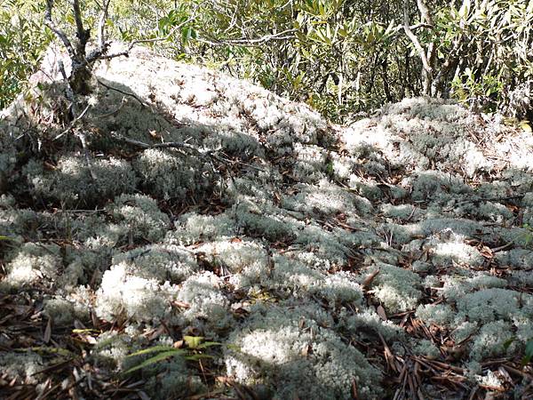 P1280666.JPG P1280666.JPG