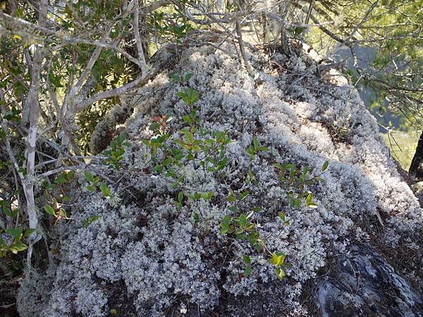 P1280660.JPG P1280660.JPG