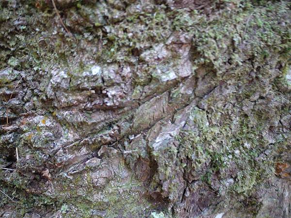 P1280672.JPG P1280672.JPG