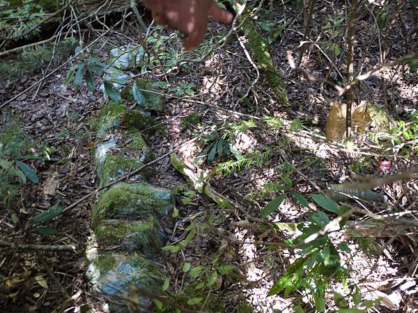 P1280673.JPG P1280673.JPG