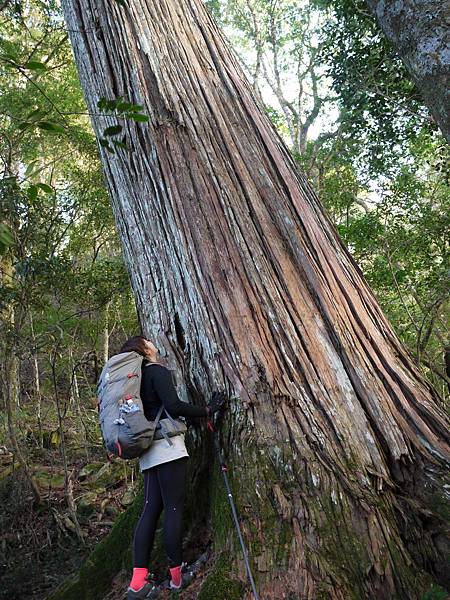 P1280689.JPG P1280689.JPG