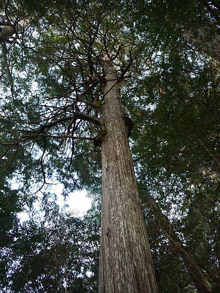 P1280685.JPG P1280685.JPG