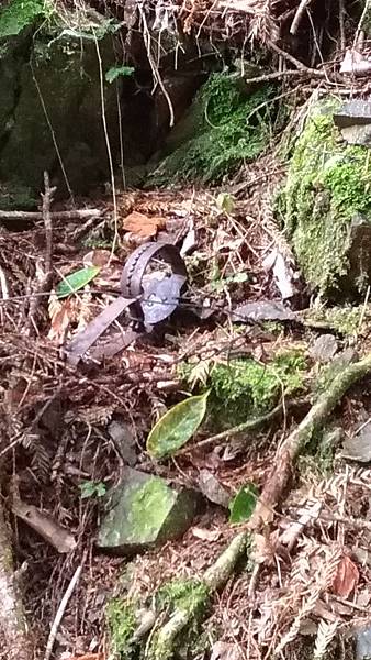 P_20190204_091037_vHDR_On.jpg P_20190204_091037_vHDR_On.jpg