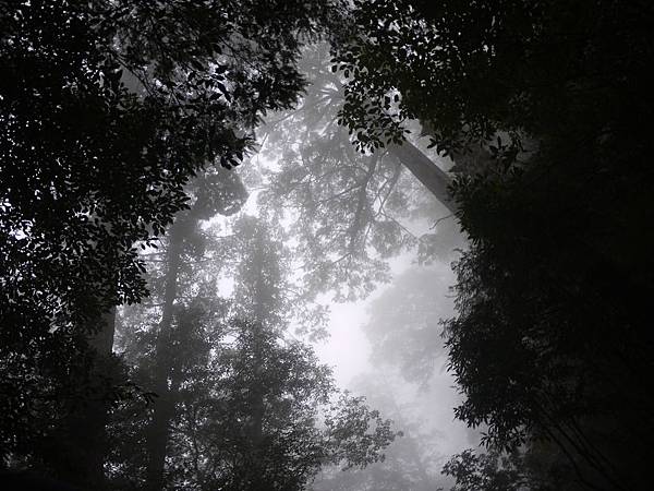 P1280783.JPG P1280783.JPG