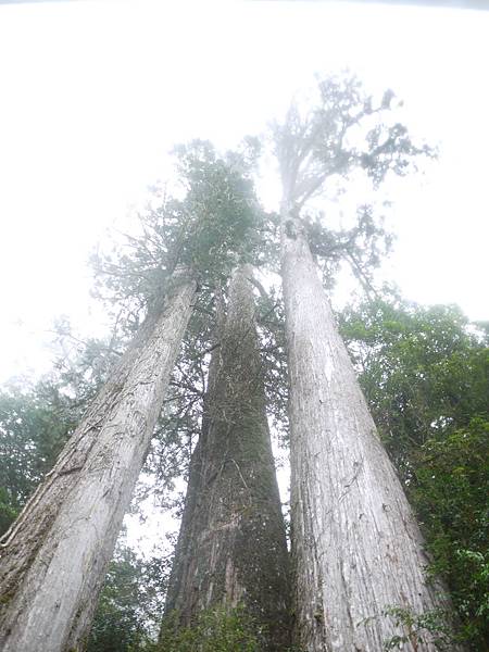 P1280794.JPG P1280794.JPG