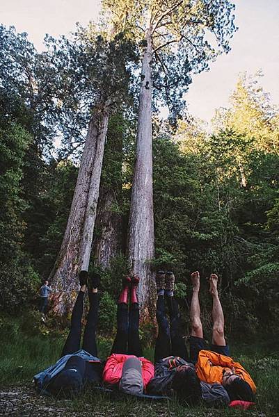 33338114_1728635753889565_1073600687079686144_n.jpg 33338114_1728635753889565_1073600687079686144_n.jpg