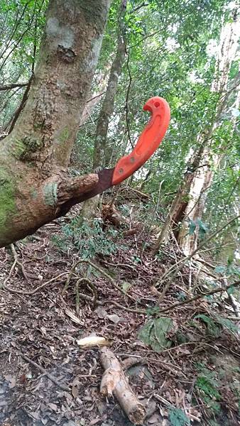 P_20190204_130822_vHDR_On.jpg P_20190204_130822_vHDR_On.jpg