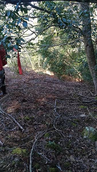 P_20190204_105047_vHDR_On.jpg P_20190204_105047_vHDR_On.jpg