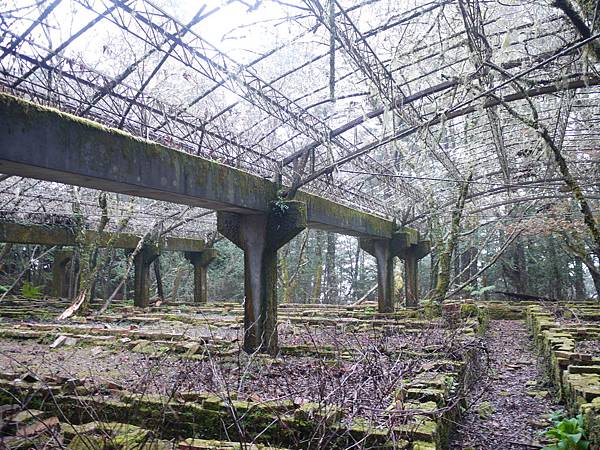 P1280856.JPG P1280856.JPG