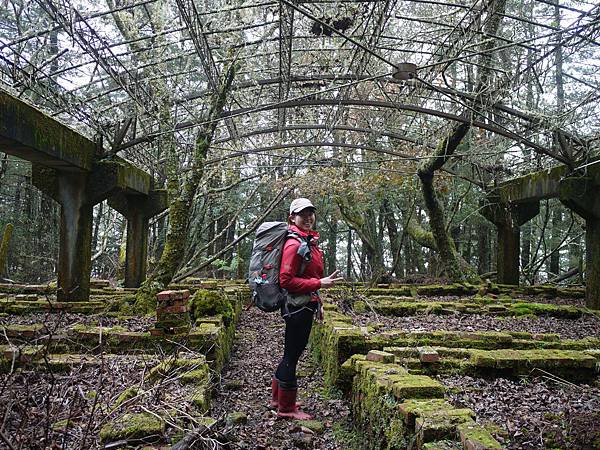 P1280875.JPG P1280875.JPG