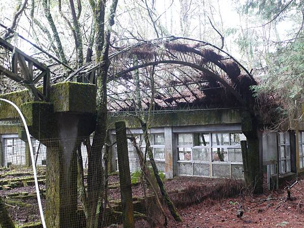 P1280877.JPG P1280877.JPG