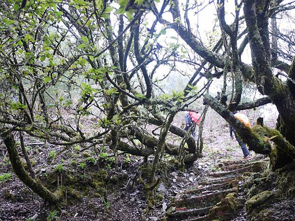 P1280888.JPG P1280888.JPG