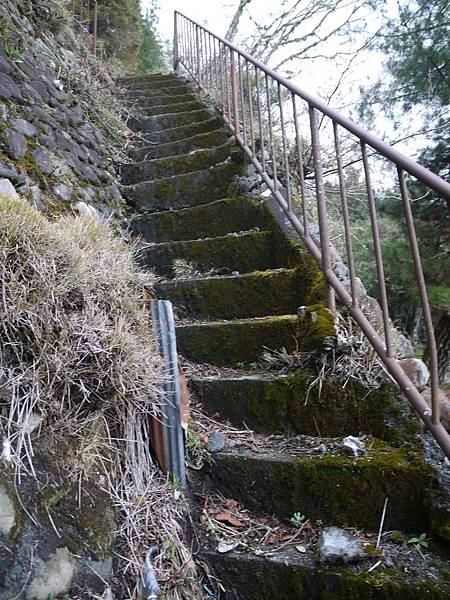 P1280892.JPG P1280892.JPG