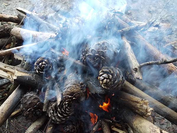 P1280921.JPG P1280921.JPG