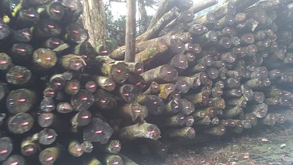 P_20190316_080826_vHDR_On.jpg P_20190316_080826_vHDR_On.jpg