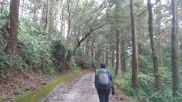 P_20190316_073929_vHDR_On.jpg P_20190316_073929_vHDR_On.jpg