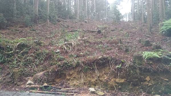 P_20190316_084153_vHDR_On.jpg P_20190316_084153_vHDR_On.jpg