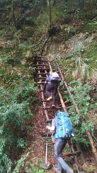 P_20190316_102614_vHDR_On.jpg P_20190316_102614_vHDR_On.jpg